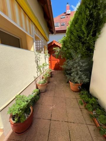 Sofi Appartment Hévíz 外观 照片